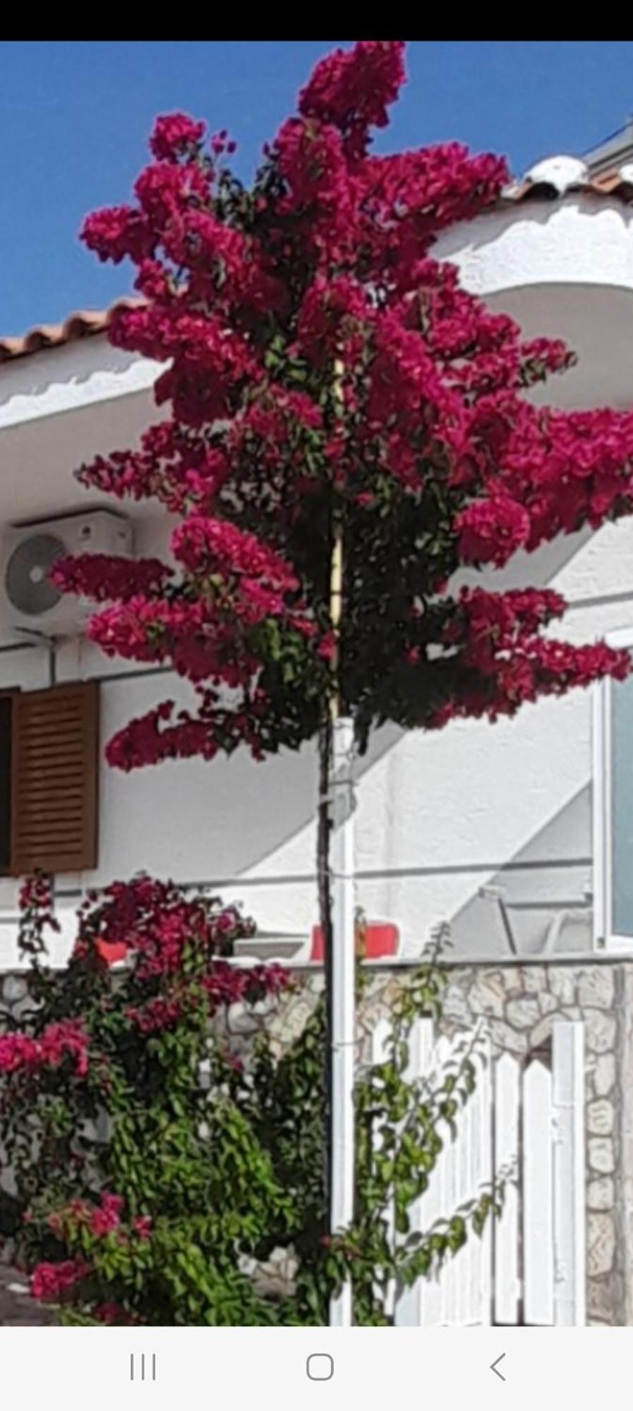 Luxury Dennis Home Sarandë Exteriér fotografie
